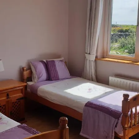 Lower Errislannan Holiday home Clifden